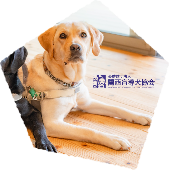 関西盲導犬協会